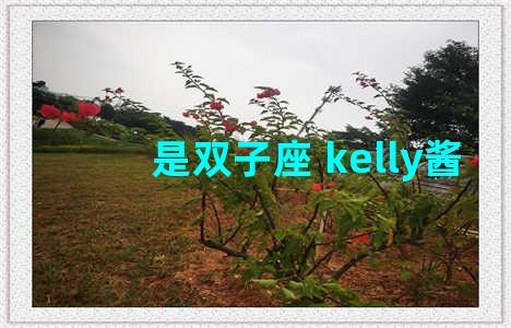 是双子座 kelly酱